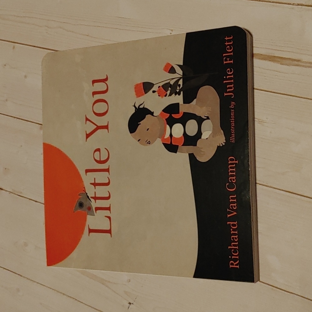 3/$13 Little Toy Baby Toddler Board Book By Richard Can Camp Julie Flett
